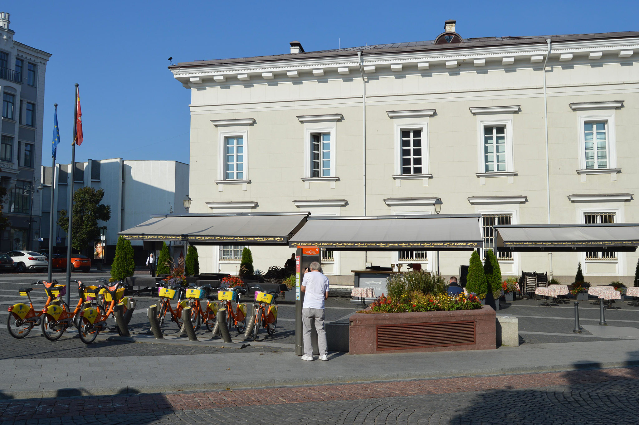 Vilniaus